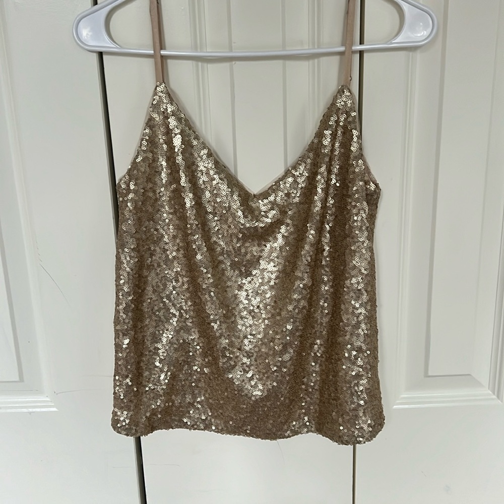 Revelry Ivy Sequin Top